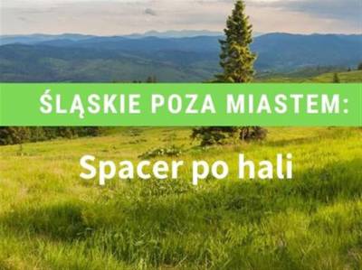 Spacer po hali: Rysianka, Wielka Racza, Korbielów, Węgierska Górka, Ujsoły