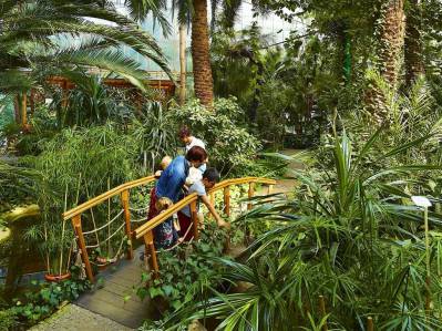 Tropiki w centrum Śląska