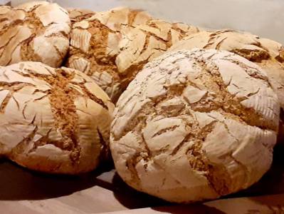 Chlebowa przygoda z dziećmi