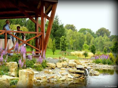 Otwarcie nowej części Śląskiego Ogrodu Botanicznego!