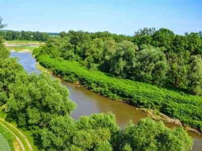 Rezerwaty przyrody w Krainie Górnej Odry