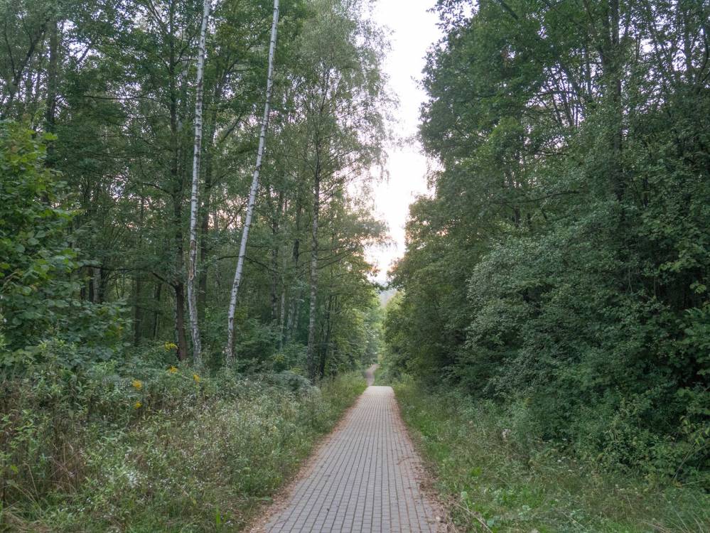 Czarny Szlak Rowerowy wzdłuż Warty