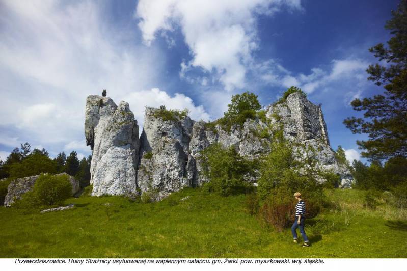Strażnica w Przewodziszowicach fot. Tomasz Renk