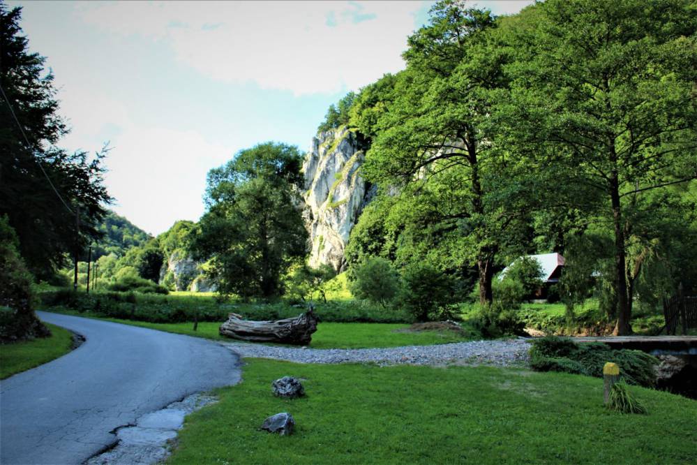 Ojcowski Park Narodowy fot. Rafał Rębisz